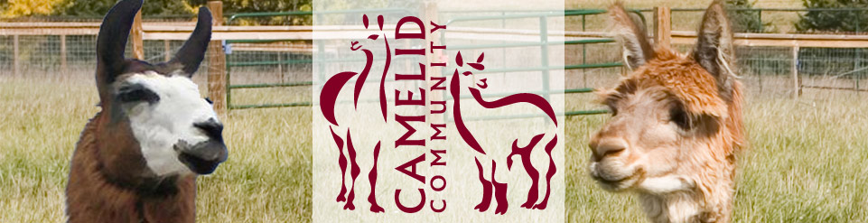Camelid Community